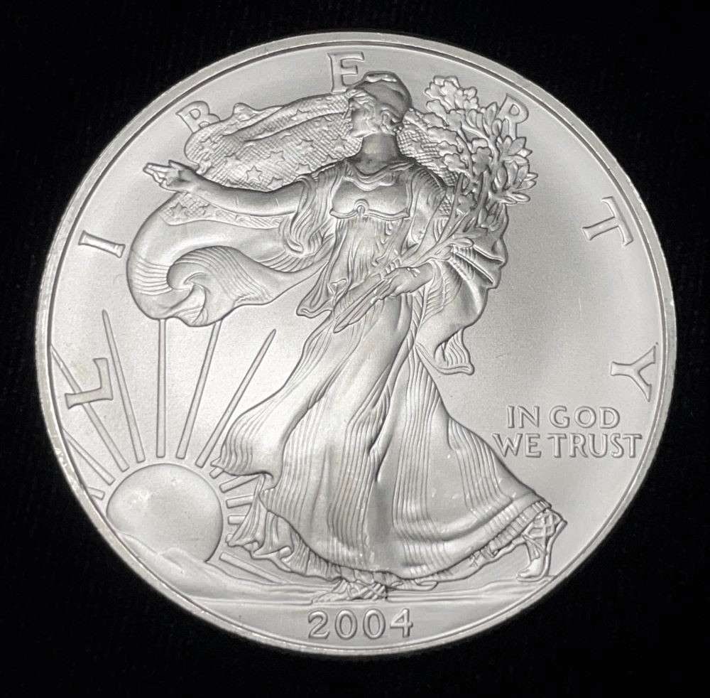 2004 American Silver Eagle (1 of 2)