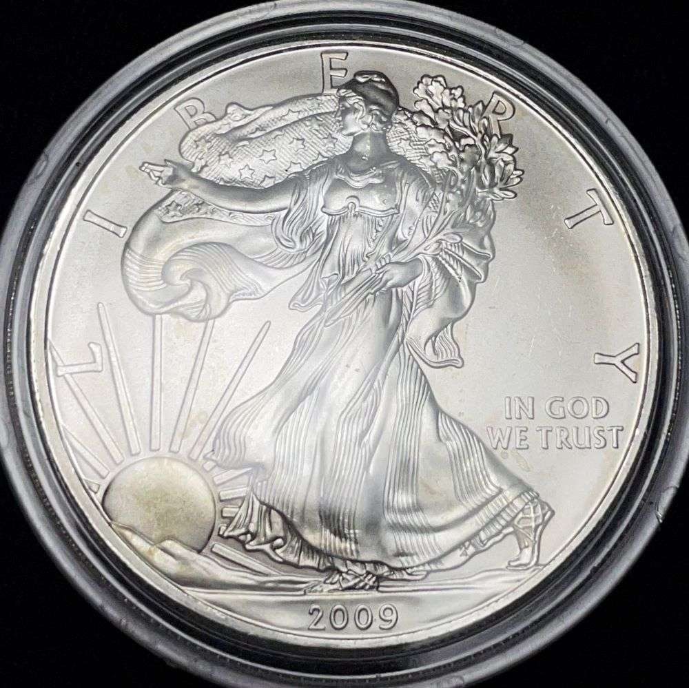 2009 American Silver Eagle: Winner shall receive the exact coin shown here. (JM/B)