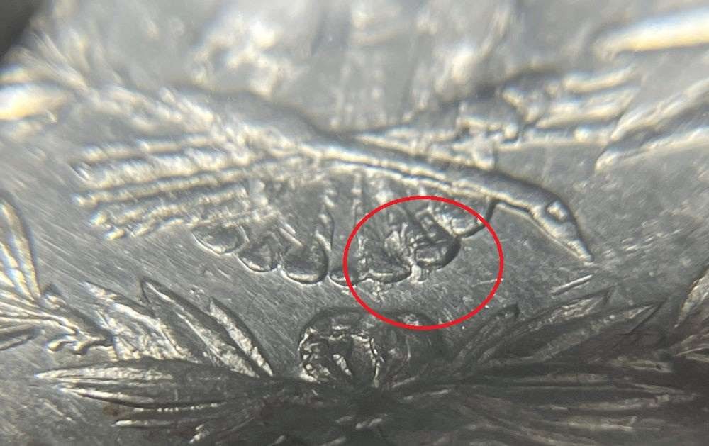 1878 7/8TF Morgan Silver Dollar SEGS AU50 Details VAM-32: Winner shall receive the exact coin shown here. (JM)