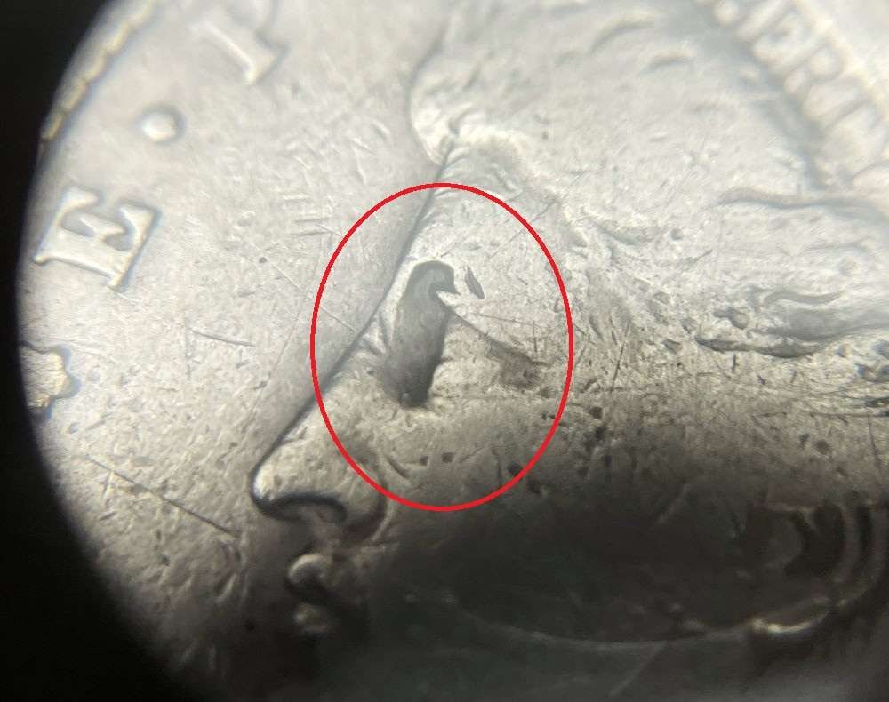 1878 7TF Morgan Silver Dollar SEGS VG8 Details VAM-122: Winner shall receive the exact coin shown here. (JM)