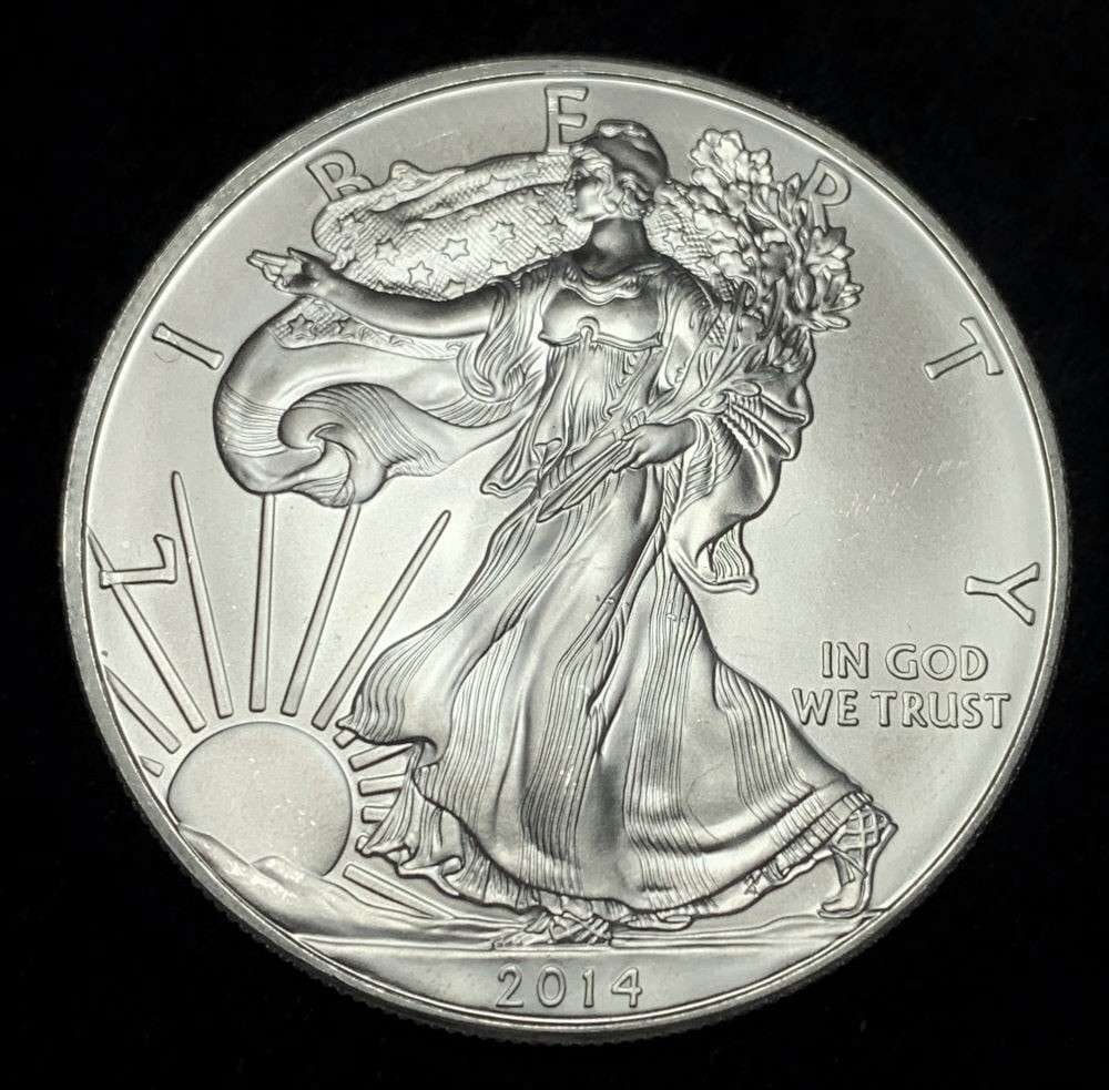 2014 American Silver Eagle (1 of 2)