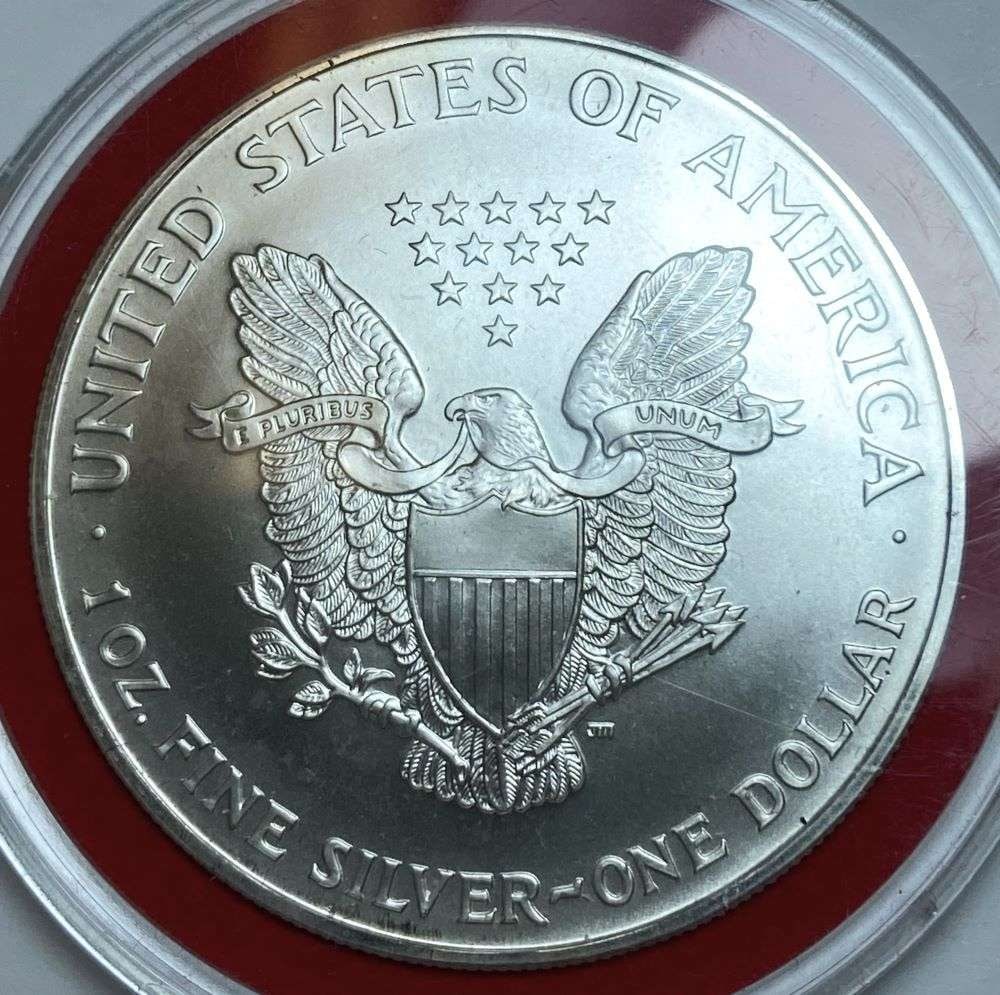 1996 American Silver Eagle: Winner shall receive the exact coin shown here (CD/B)