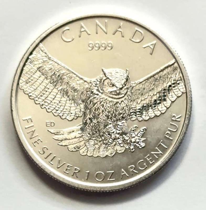 2015 Canadian Silver Great Horned Owl 1 ozt .9999 Silver (1 of 2)
