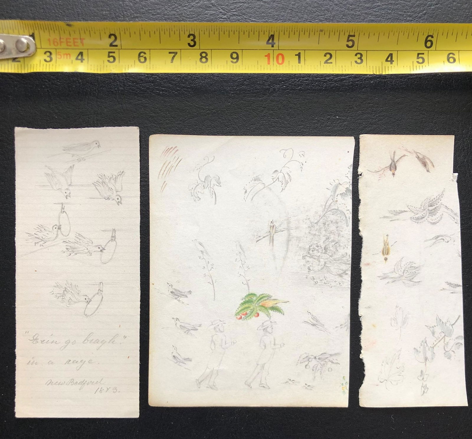 School and period of Edward Lear: graphite color pencil on paper