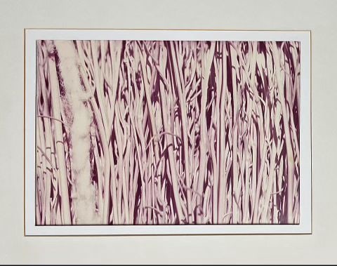 Ana Medieta ( no signature) Atrib.: Color Photography. "Violent Limits" Tribute Robert Smithson. 10.5 "x 13.5" 1973.