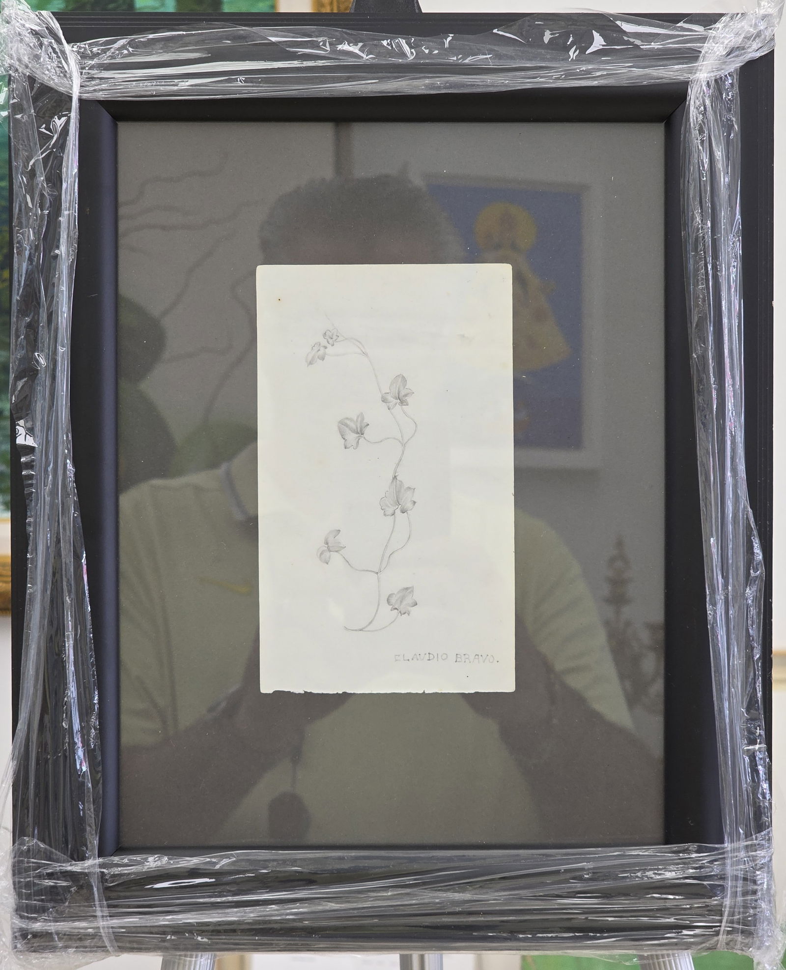 graphite on paper signed claudio bravo: 13.50" x 11" with frame