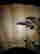 item-121780451=4