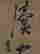 item-128265469=2