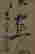item-128265469=3
