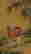 item-128265482=11