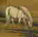 item-128265482=12