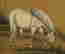 item-128265482=5