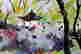 item-130874753=6