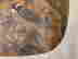 item-130874852=3