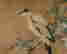 item-130874853=2