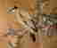 item-130874853=3