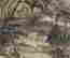item-130874927=5