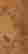 item-130874980=2