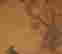 item-130874980=4