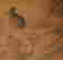 item-130874980=5
