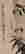 item-130875012=7