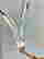 item-121459009=3