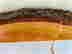item-121459009=5