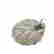 item-121459016=2
