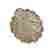 item-121459016=4
