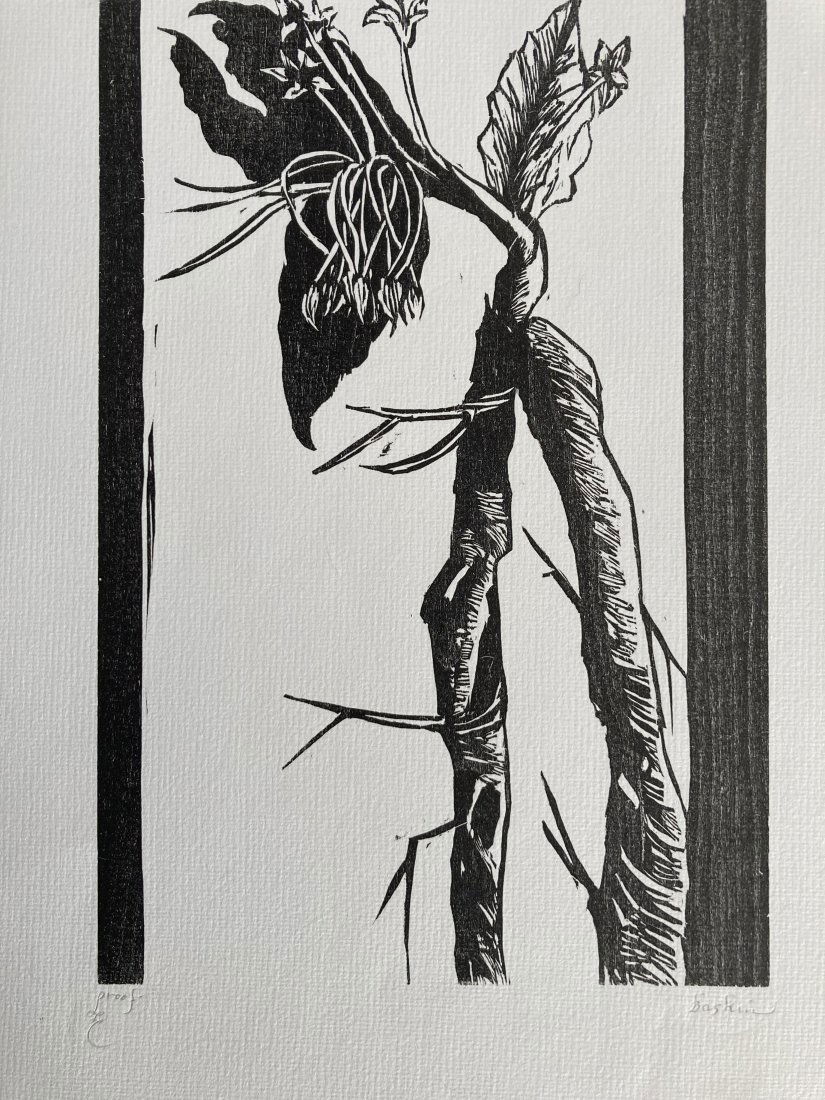 LEONARD BASKIN Signed WOODBLOCK PRINT Lily?: Up for auction is a beautiful pencil signed black and white woodblock print by Leonard Baskin. The print depicts a single lily flower. The print is signed in pencil on the lower right of the print and