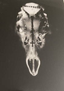 RUTH BERNHARD Pencil Signed LIMITED EDITION Gelatin Silver Print SKULL AND ROSARY 1945