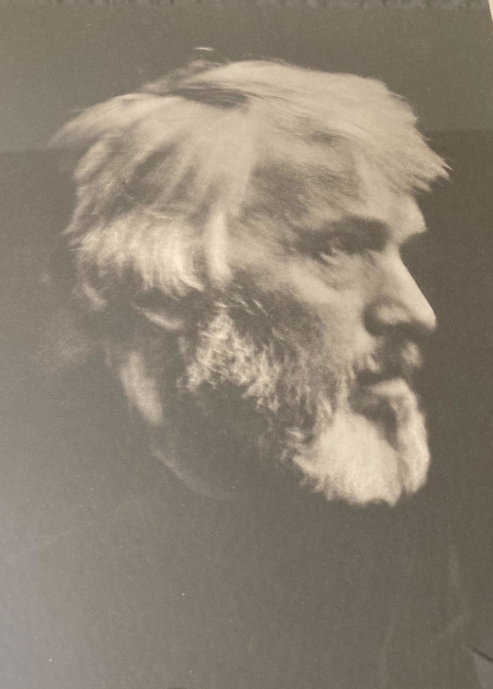 JULIA MARGARET CAMERON Vintage Photogravures THOMAS CARLYLE 1913 CAMERA WORK Issue #41 (1 of 13)