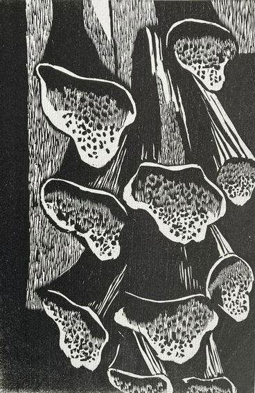 LEONARD BASKIN Signed WOODBLOCK PRINT Foxglove ARTIST PROOF Limited Edition (1 of 12)