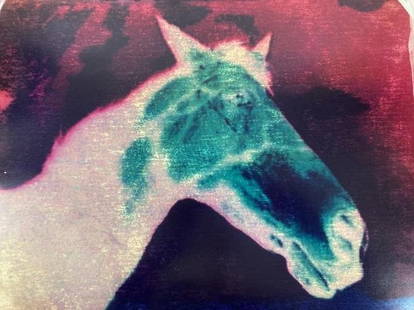 DORIS CHASE Signed DYE TRANSFER PRINT Desire 1991 NORTHWEST SCHOOL Seattle: ARTIST: Doris Chase (Seattle, Washington, New York City, 1923-2008) TITLE: Desire MEDIUM: Color Dye Transfer print IMAGE SIZE: 24" x 20" OVERALL SIZE: 25 1/4" x 21 1/4" DESCRIPTION: Up for auction is