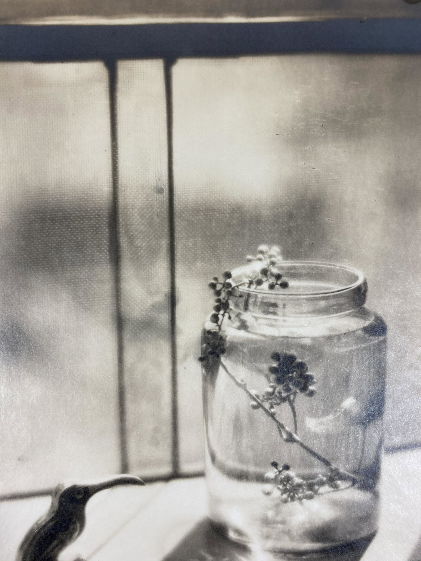 CLARA ESTELLE SIPPRELL Pencil Signed VINTAGE GELATIN SILVER PRINT ON TISSUE 1940s: ARTIST: Clara Estelle Sipprell (Canadian & American, Tillsonburg, Ontario, New York City & Bennington, Vermont, 1885 - 1975) TITLE: Still Life MEDIUM: Vintage gelatin silver print on tissue paper IMAG