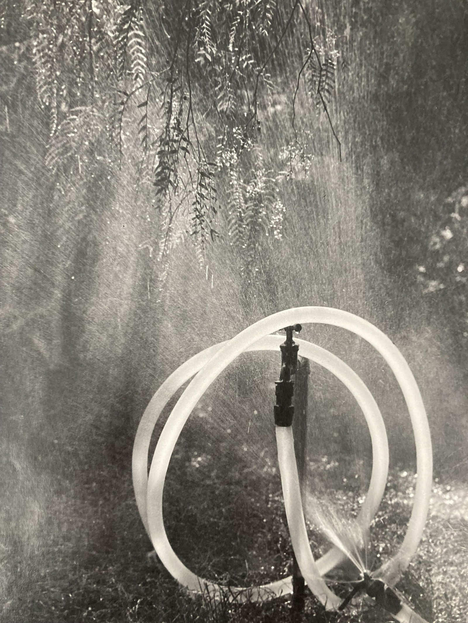 RUTH BERNHARD (1905-2006) Signed & Titled GARDEN HOSE 1969 GELATIN SILVER PRINT (1 of 15)