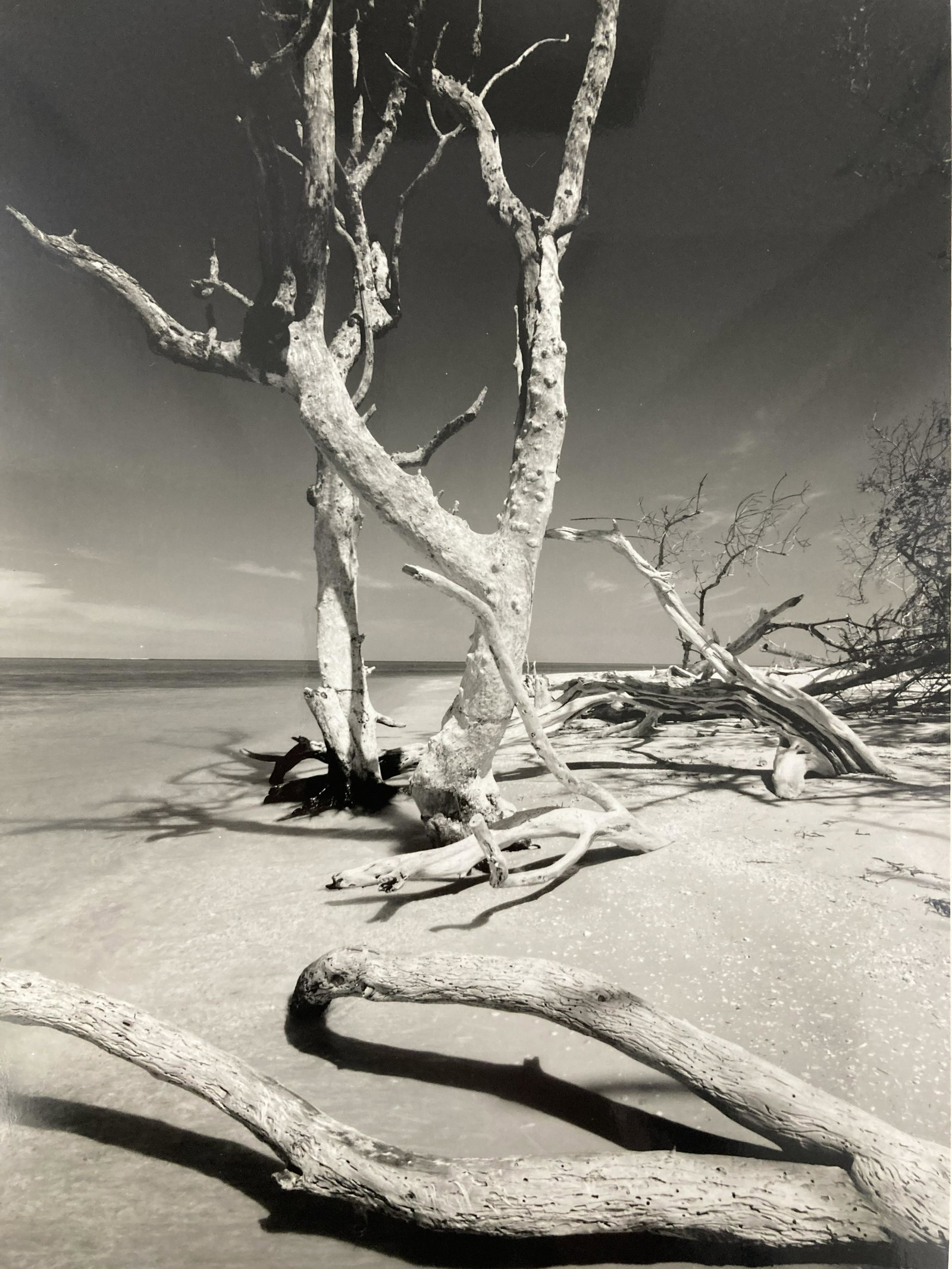 CLYDE BUTCHER (Kansas City, b. 1942) Signed GELATIN SILVER PRINT Limited Edition (1 of 20)