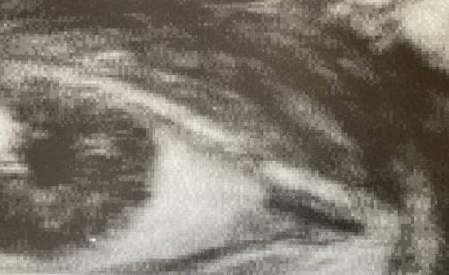 KIKI SMITH (B. 1954) Signed THE SYBIL Limited Edition Print 2004 NUMBERED: ARTIST: Kiki Smith (Nuremberg, Germany, South Orange, New Jersey, b. 1954) TITLE: The Sybil, 2004 SIZE: Sheet: 12" x 18 1/2" MEDIUM: Offset print on Zerkall Book Vellum DESCRIPTION: Up for auction is