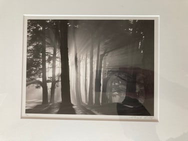 MARK CITRET Signed GELATIN SILVER PRINT Limited Edition MORNING, HARDING PARK, 2002