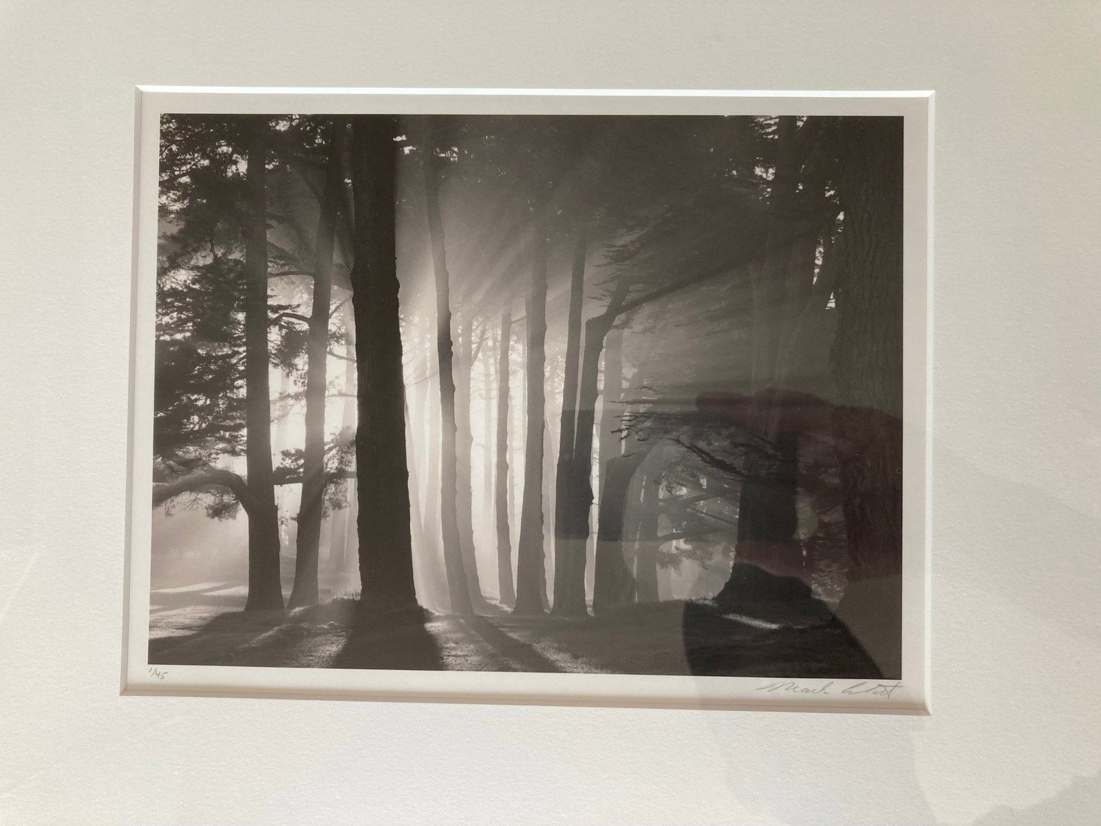 MARK CITRET Signed GELATIN SILVER PRINT Limited Edition MORNING, HARDING PARK, 2002 (1 of 14)
