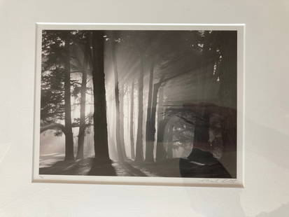 MARK CITRET Signed GELATIN SILVER PRINT Limited Edition MORNING, HARDING PARK, 2002: AUTHOR/ARTIST: Mark Citret (Buffalo, New York, San Francisco, California, 1949) TITLE: Morning, Harding Park, 2002 SIZE: Image: 6 1/2" x 8 3/4", Frame: 16 1/2' x 19 1/2" MEDIUM: Gelatin silver print