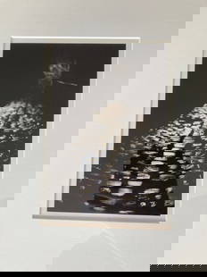 TOMIO SEIKE Signed TONED GELATIN SILVER PRINT Limited Edition QUAI d'ORLEANS, 1991: AUTHOR/ARTIST: Tomio Seike (Tokyo, Japan, Paris, France, b. 1943) TITLE: Quai d'Orleans (pavee), 1991 SIZE: Image: 7 3/4" x 5", Frame: 18' x 19" MEDIUM: Gelatin silver print DESCRIPTION: Up for
