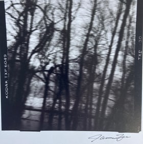 JAMES FEE Signed SEPIA-TONED GELATIN SILVER PRINT Blurred Landscape