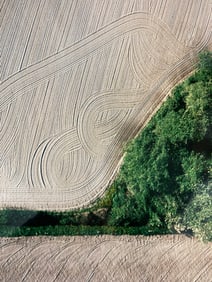 MARK ABRAHAMSON (Washington, 1944) Signed STILLAGUAMISH Cibachrome Print