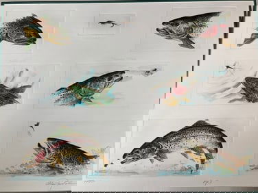 ALAN JAMES ROBINSON Signed BROWN & RAINBOW TROUT Hand-colored Etchings