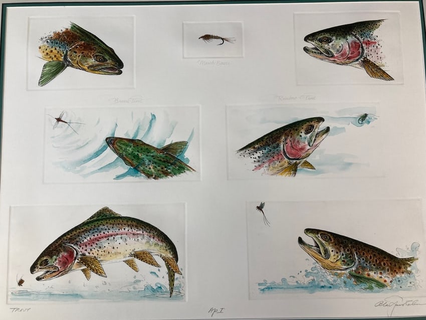 ALAN JAMES ROBINSON Signed BROWN & RAINBOW TROUT Hand-colored Etchings (1 of 14)