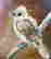 item-129297273=2