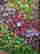 item-129297279=3