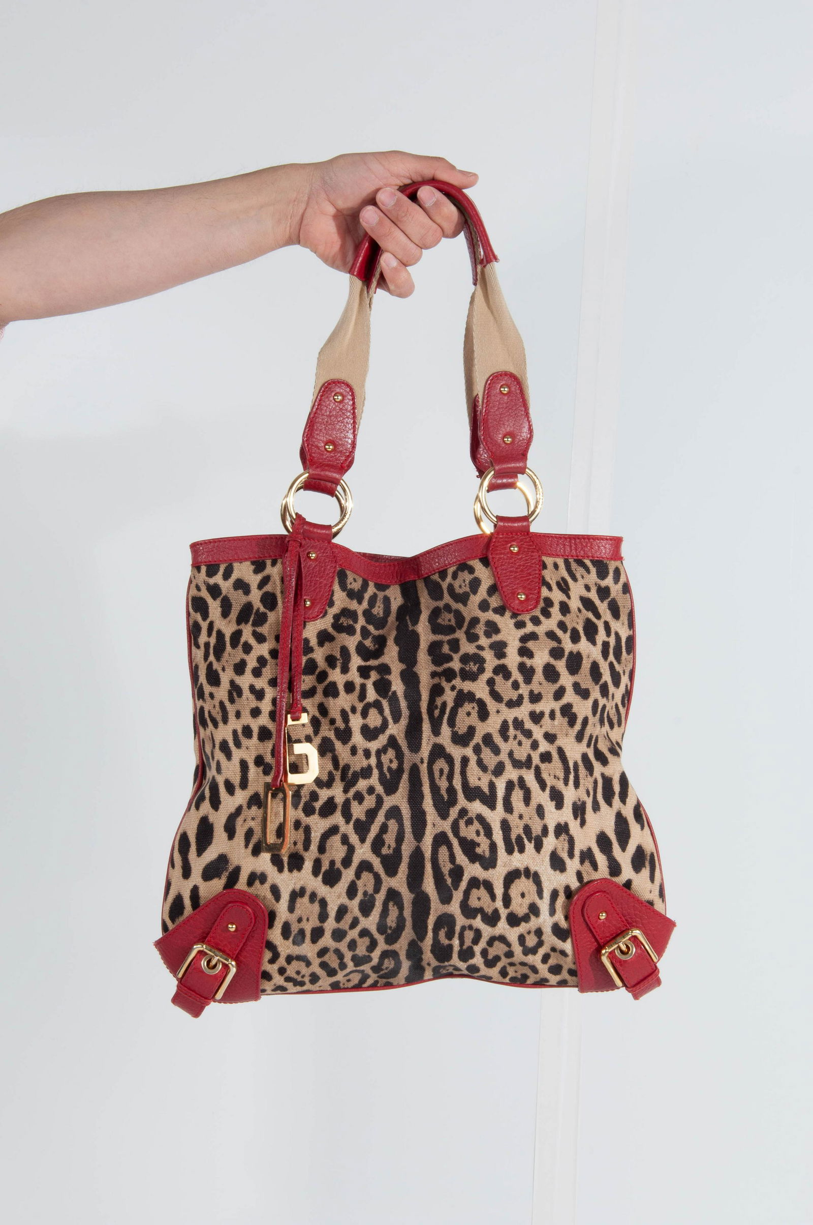 Dolce & Gabbana Canvas & Leather Leopard Handbag Red (1 of 15)