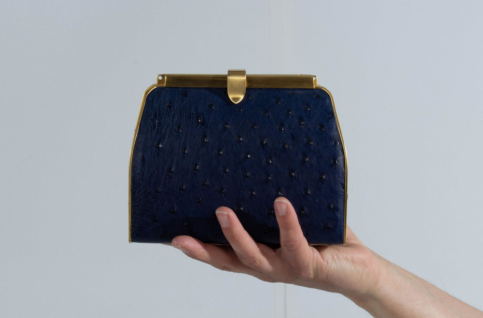 Lorenzi Ostrich Leather Box Metal Evening Bag w/ Strap Navy (1 of 16)